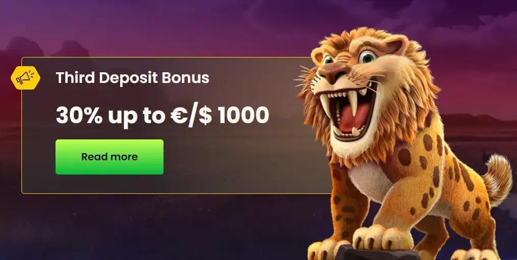 bizzo bonus a treia depunere